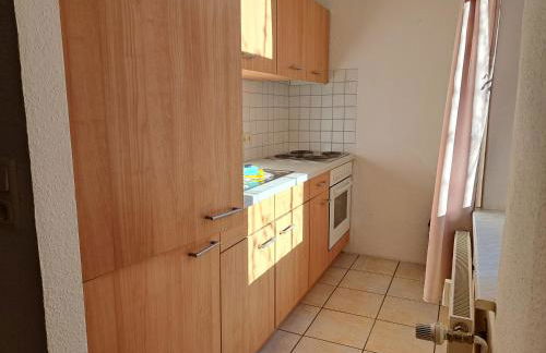 Apartment-Hotel Schillerplatz - Foto 61