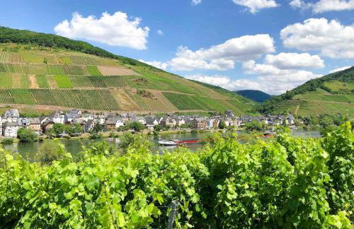 Ferienhaus MaLu in Bremm - Foto 53