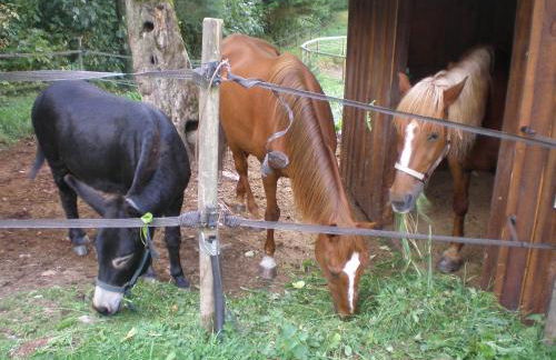 Romantic Studio Vacances - Foto 26