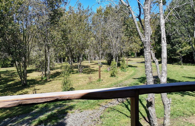 Wonderful Rustic Cabin 2, With Native Logs, on the Banks of the Trancura River - Foto 45