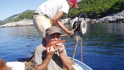 Apartments Pitarević - Foto 5