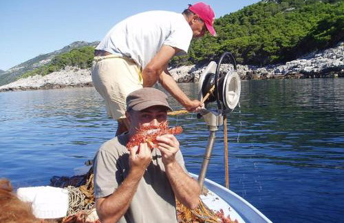Apartments Pitarević - Photo 5