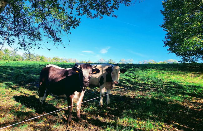 La Grange de Capucine, gite de caractère - Foto 74