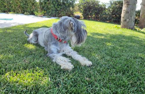 Carezza del mare - Foto 29