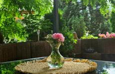 Johnis FeWo, Nähe Stadtzentrum - Uni in sehr ruhiger Lage mit Terrasse und eigenem Parkplatz - Foto 18