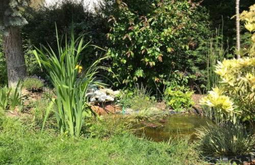 Appartement cosy, indépendant avec jardin - Foto 15