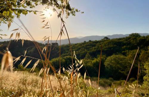 Villa immersa nella Serenità - Photo 43