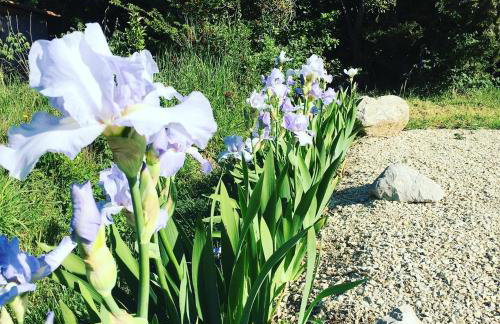 Gîte de Notre Dame avec piscine - Foto 30
