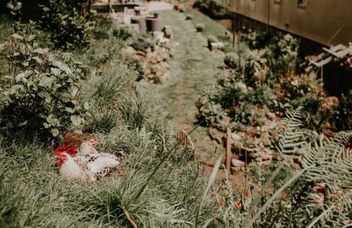 Higher Trewithen - Photo 12