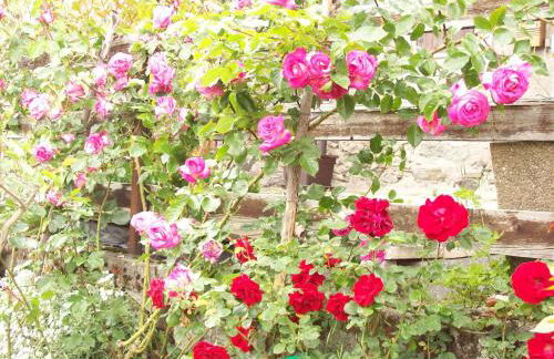 Casa delle Rose - Foto 74