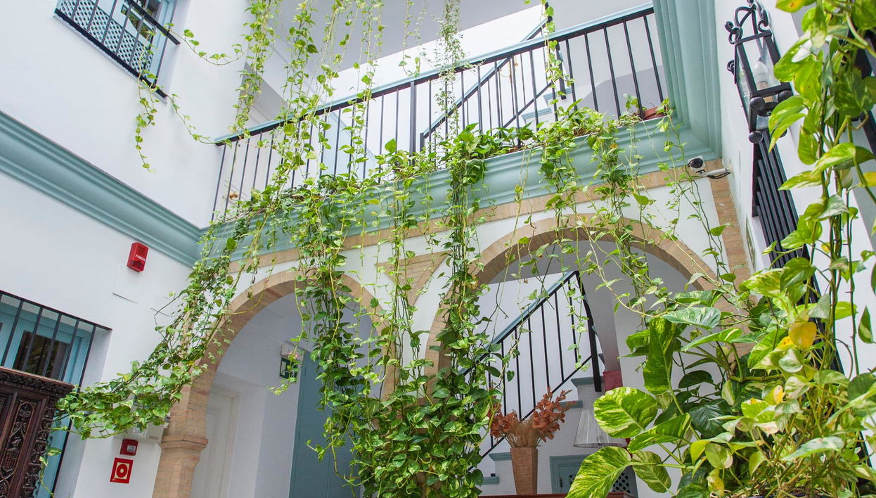 Apartamentos Suites Santa Cruz - Photo 1