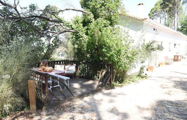 Vumba - The Alembic - Foto 16