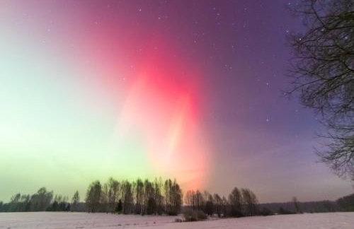 Pod Modrzewiem - Foto 44