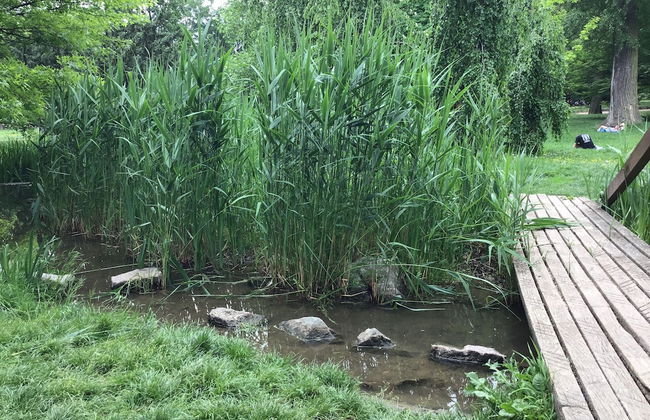 Euro Apartments Lidická 39 Brno - Foto 48