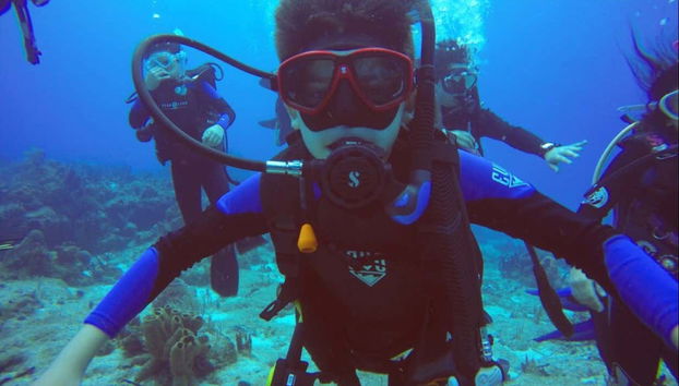 Una actividad para toda la familia