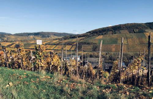 Ferienhaus Plan B. Wittlich - Foto 32