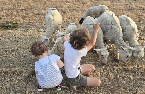 Casas do Monte - Foto 13