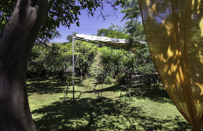 Tenuta Santa Tecla - Foto 75