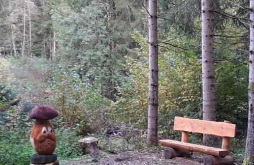 DOLOMITI DA VIVERE - Photo 34