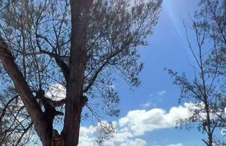 Casa com piscina em Condomínio - Foto 36