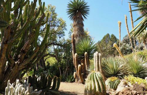 House in Tri-valley area ! Relaxing place to stay! - Foto 3