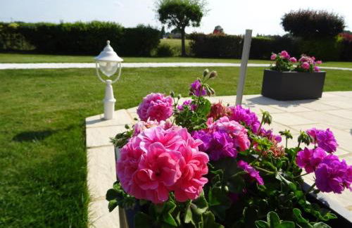 Brin de bonheur - Foto 25