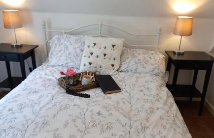 Mabon House near Zip World Tower and Bike Park Wales - Foto 17