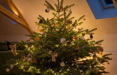 Le 1552 - Gîte de charme - Parking Gratuit - Foto 41