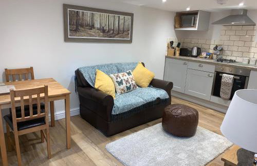 The Stables at Pentregaer Ucha, tennis court & lake - Foto 14