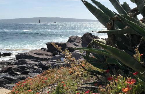 Panoramic Apartments - Foto 46