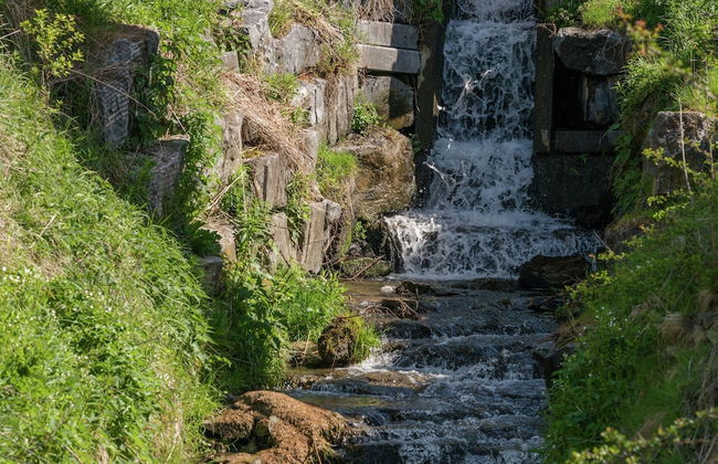 Bertrix Mill With Sauna - Photo 31