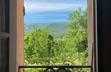 Domaine de la Bastidonne - Foto 68