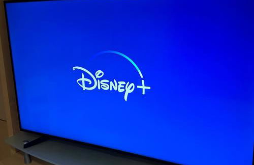 LuxuryOrion,nahe Europapark & Rulantica,Netflix,Disney,KartinaTV - Foto 51