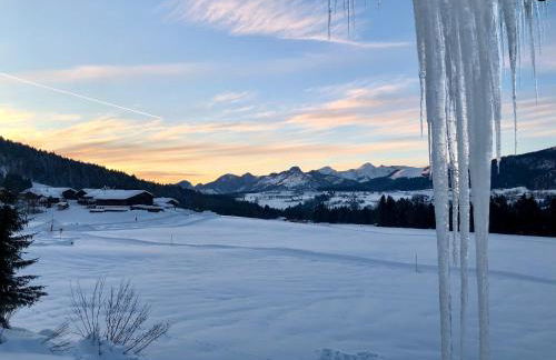 Panoramaresidenz Blindau - Foto 28