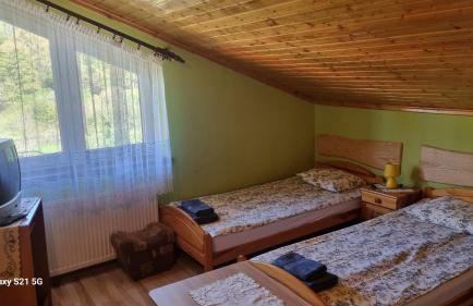 Pod Smerekiem - Photo 38