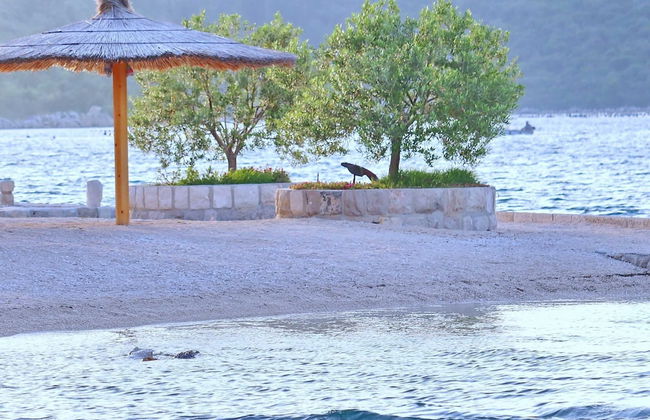 Apartments More & Ja - One Bedroom Apartment With Terrace and Sea View - Foto 17