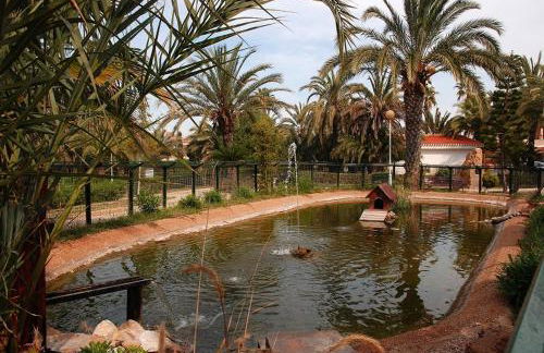 Familia Reunida Costa Cálida - Foto 45