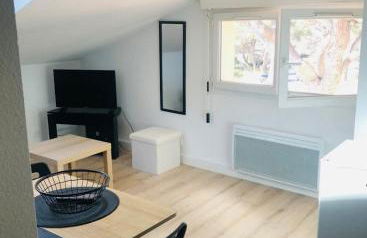 Les flamants Roses la Capte Clim 4pers 100m plage - Foto 9