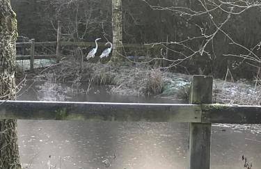 Leverets - Squirrel Lane Lodges Ludlow - Photo 25