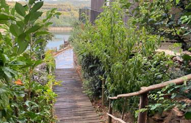 Medronho D'Ouro bungalows - Photo 49