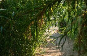 Goldener Strand 3-4 - Foto 12