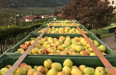 Klostergut - Foto 34