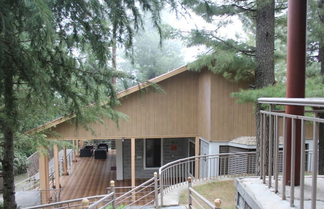 Blue Pine Retreat - Photo 19