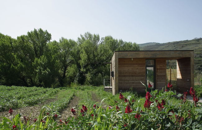 Il Bevaio di Corleone - Photo 13