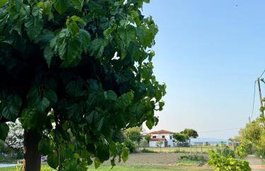 Villa Dimitris - Photo 25