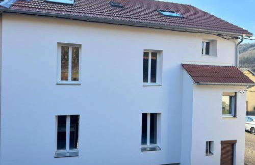 Le colibri au pied des ballons des Vosges - Foto 19