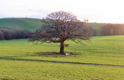 Vale Farm Cottages - Photo 66