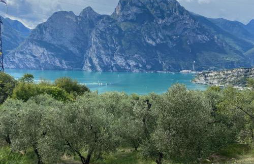 GARDA BALDO APARTMENTS - Photo 17