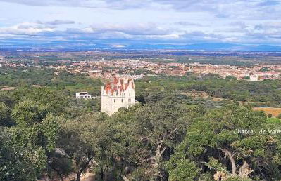 BAMBOU SERENITE ECO LOGIS -Piscine - Foto 38