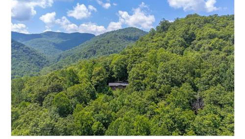 Mountain Retreat Fire Pit Hiking Trails BBQ - Foto 5